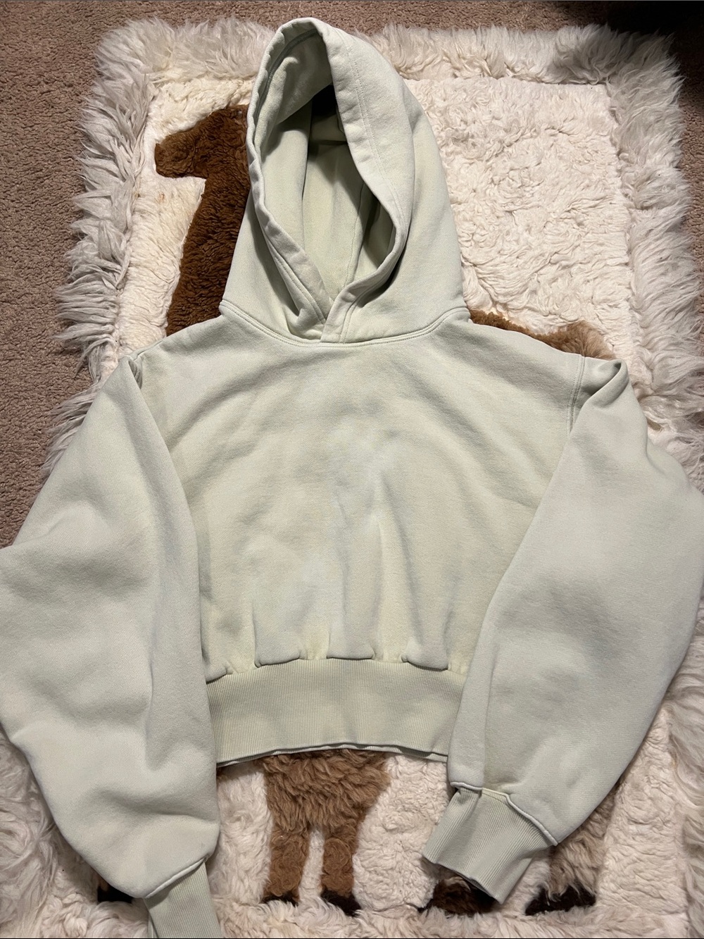 TNA Light Mint Green Cropped Hoodie